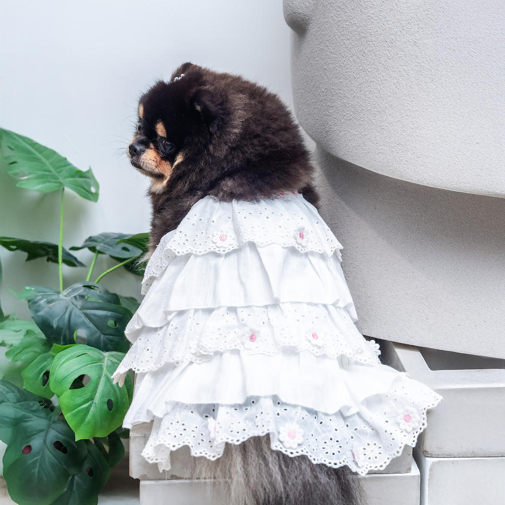 A7400351.webp
