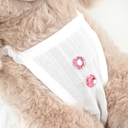 800x-1.webp