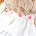 800x-2.webp