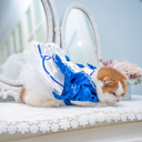A7400377.webp