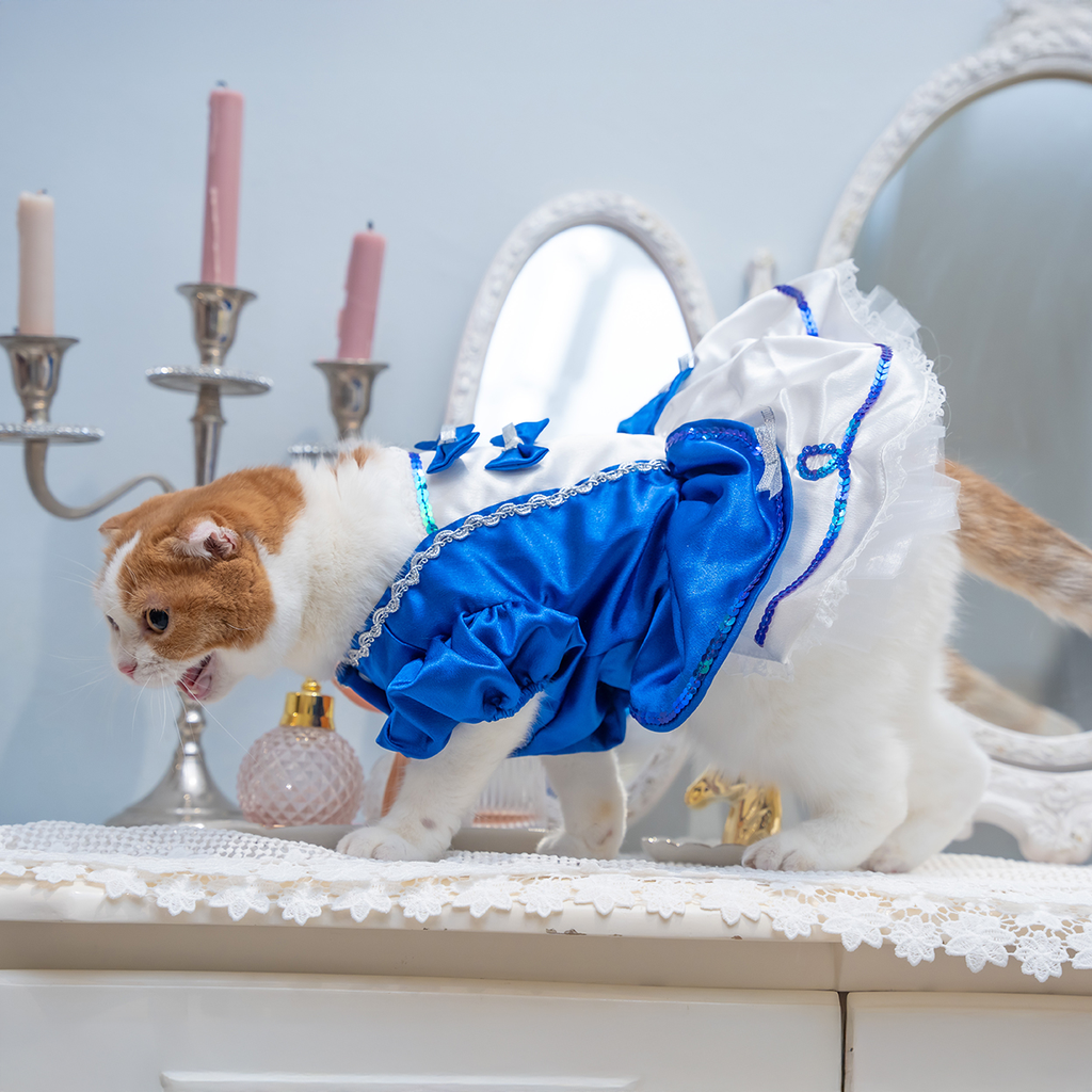 A7400347.webp