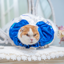 A7400368.webp