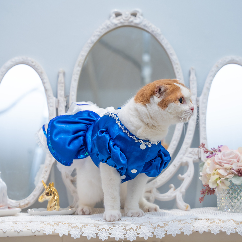 A7400340.webp