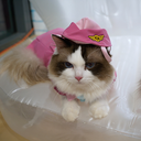 stewardess_03.webp