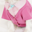 800x-4.webp