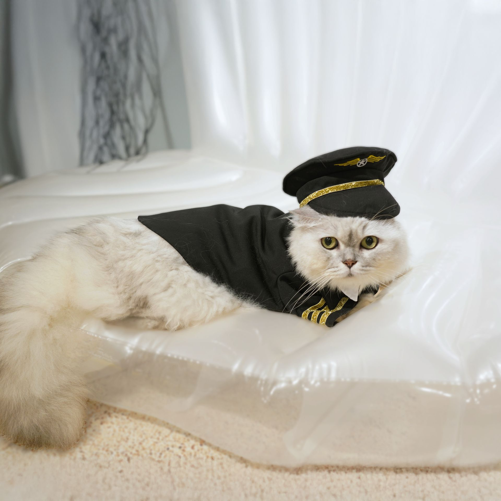 pilot_01.webp