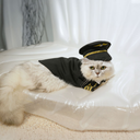 pilot_01.webp
