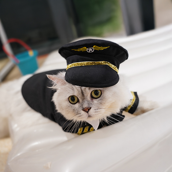 pilot_02.webp