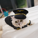 pilot_02.webp