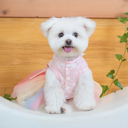 800x-3.webp