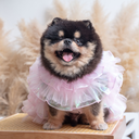A7400662.webp