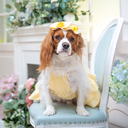 A7400241.webp