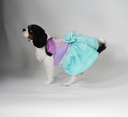 DSC06750.webp
