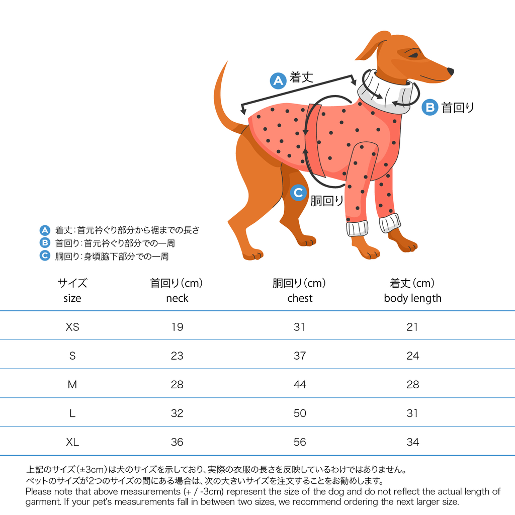 XS-XL34.webp
