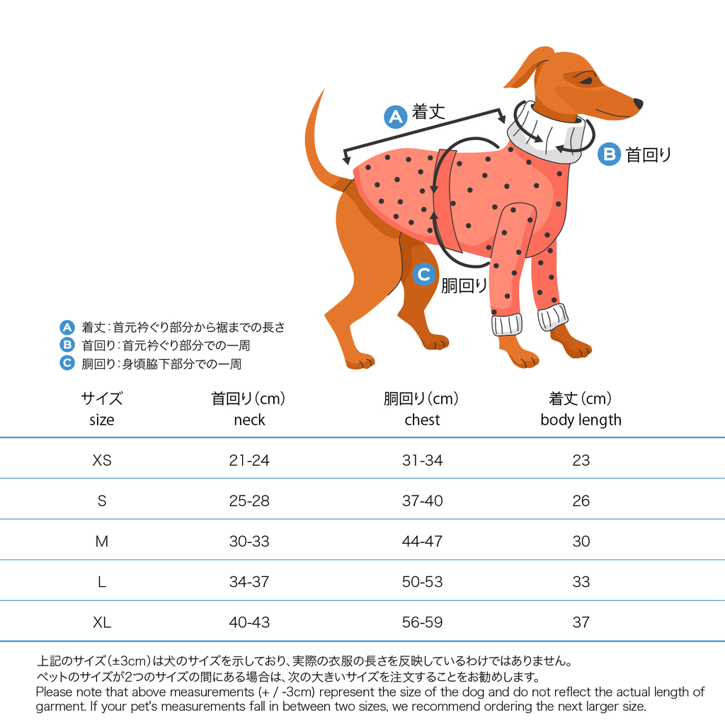 XS-XL37.webp