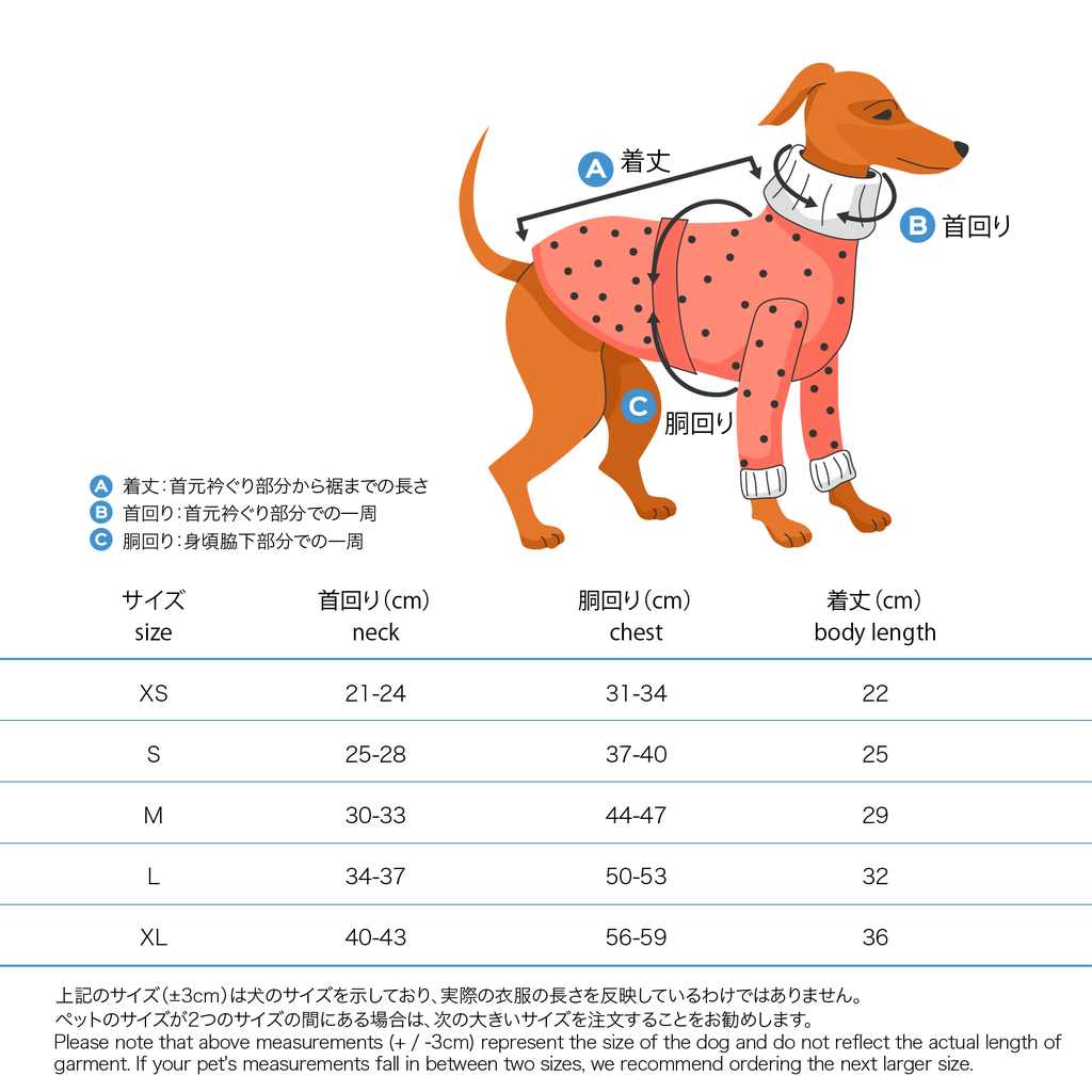 XS-XL36.webp