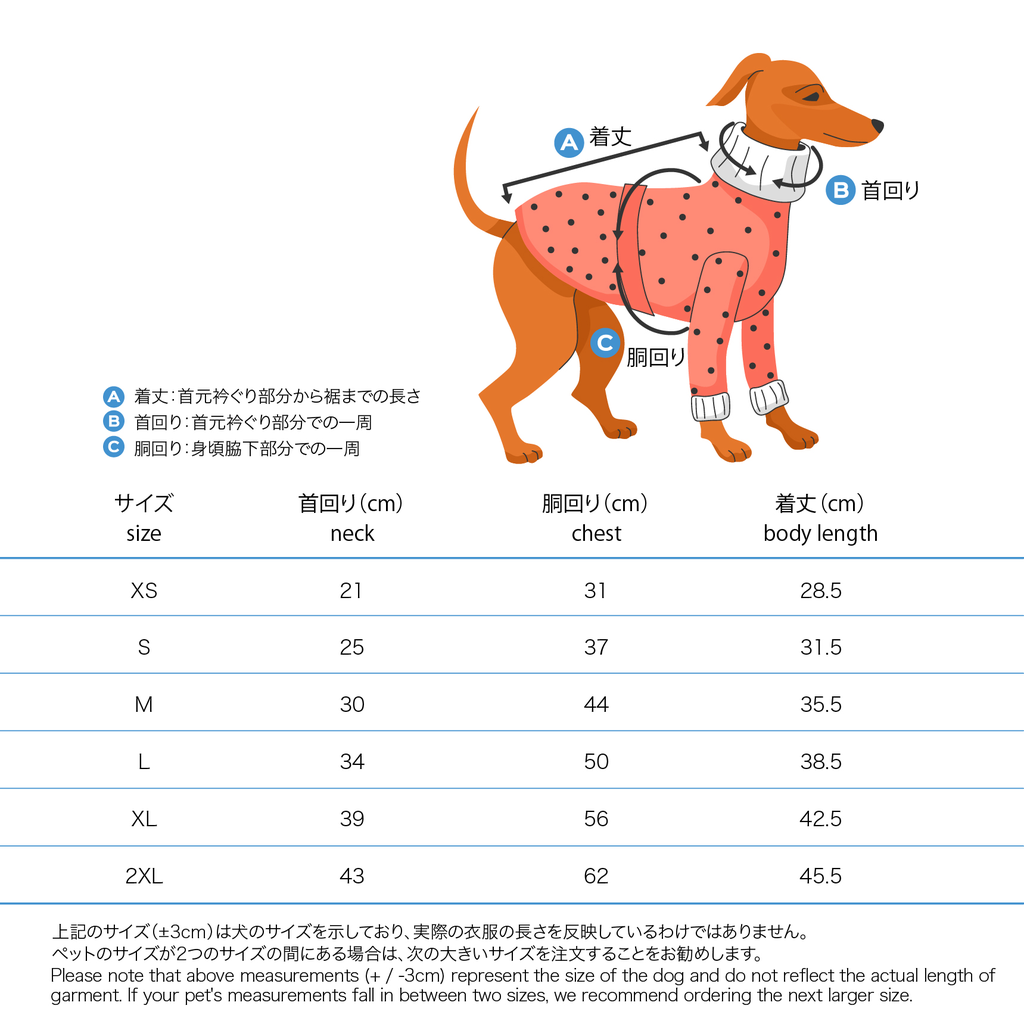 XS-2XL45.5.webp