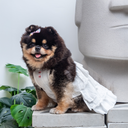 A7400344.webp