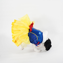 DSC06502.webp