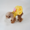 DSC07174.webp