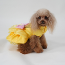 DSC07196.webp