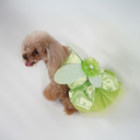 DSC06409.webp