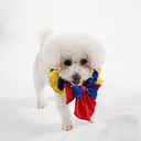 DSC06593.webp