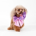 DSC06615.webp