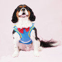 DSC07820.webp