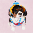 DSC07851.webp