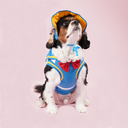 DSC07846.webp