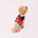 DSC07768.webp