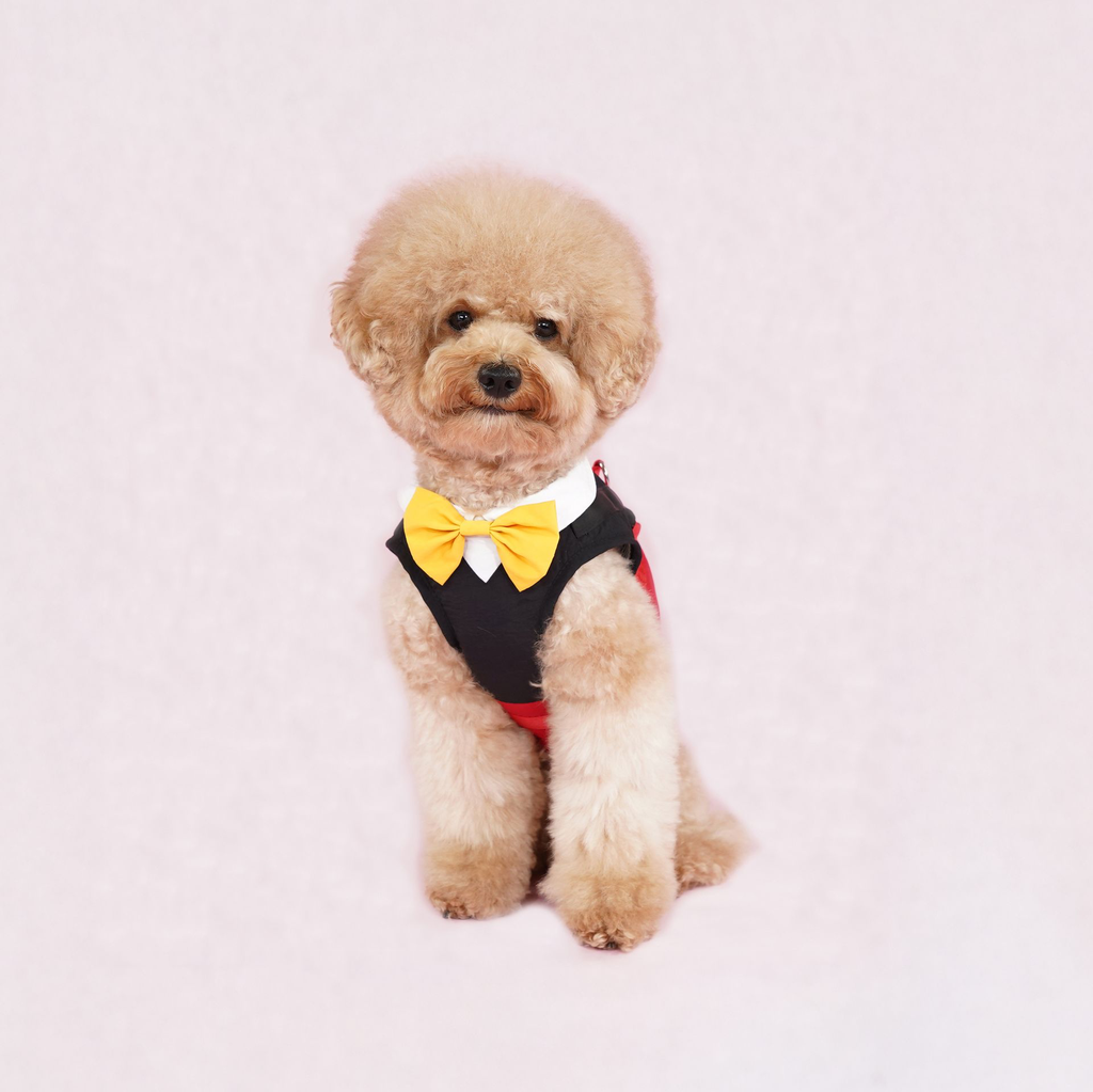 DSC07723.webp