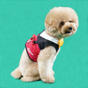 DSC07684.webp