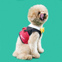 DSC07690.webp