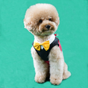 DSC07660.webp