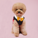 DSC07738.webp