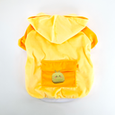 Yellow 2.webp