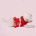 DSC08368.webp