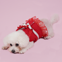 DSC08336.webp
