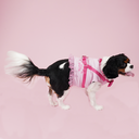 DSC07955.webp