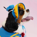 800x-5.webp