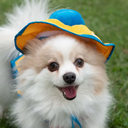 800x-1.webp