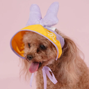 800x-2.webp