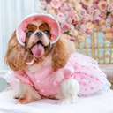 800x-9.webp