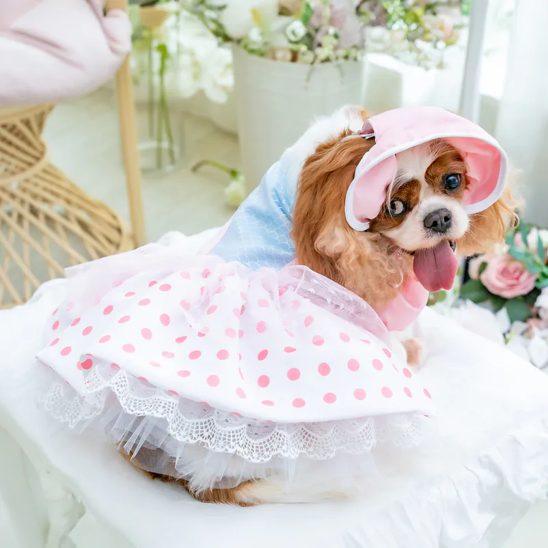 800x-11.webp