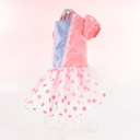 800x-4.webp