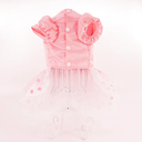 800x-5.webp
