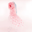800x-3.webp