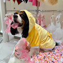 IMG_2407.webp